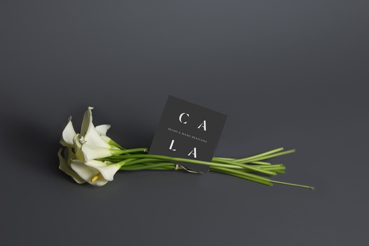 Cala家居用品公司vi設計,logo字體設計