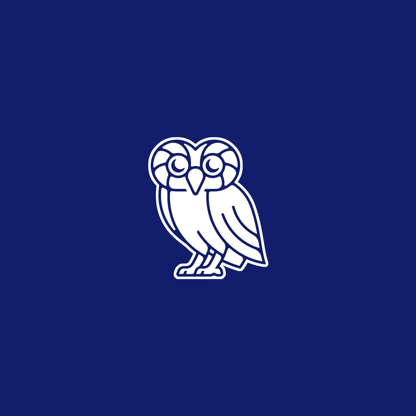 萊斯大學vi設計,品牌形象改造,logo設計